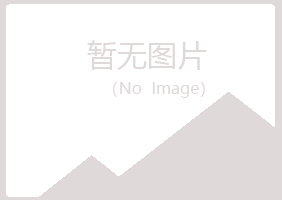 林甸县夏岚咨询有限公司